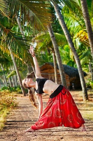 theme-yoga (1)